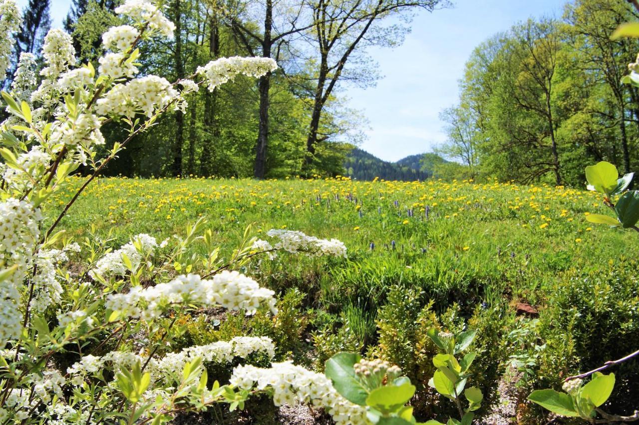 Naturhotel Schloss Kassegg Санкт-Галлен Экстерьер фото